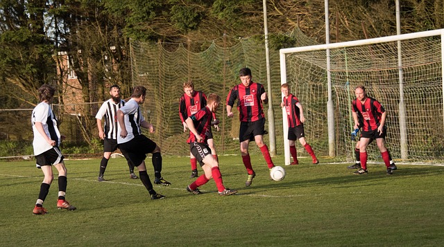 了坚实的基 了坚实的基