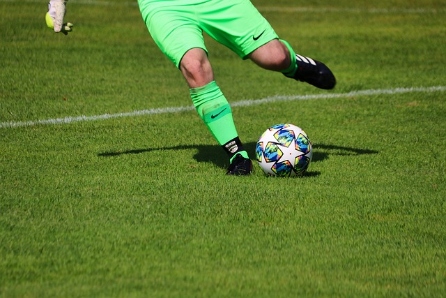 提供了重要 提供了重要