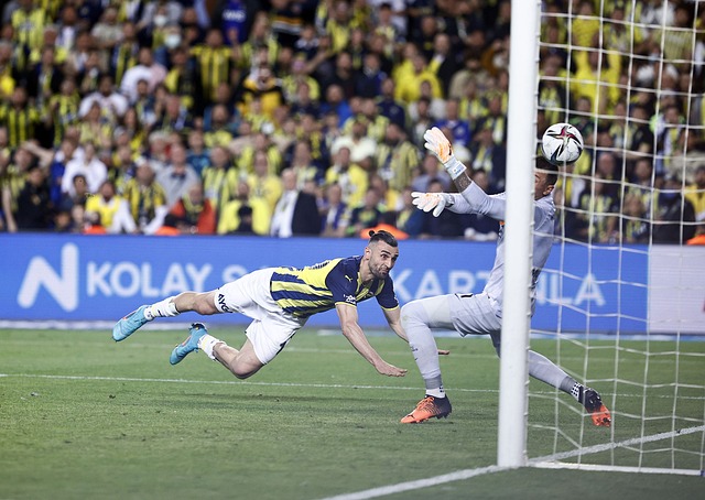 24支参赛 24支参赛