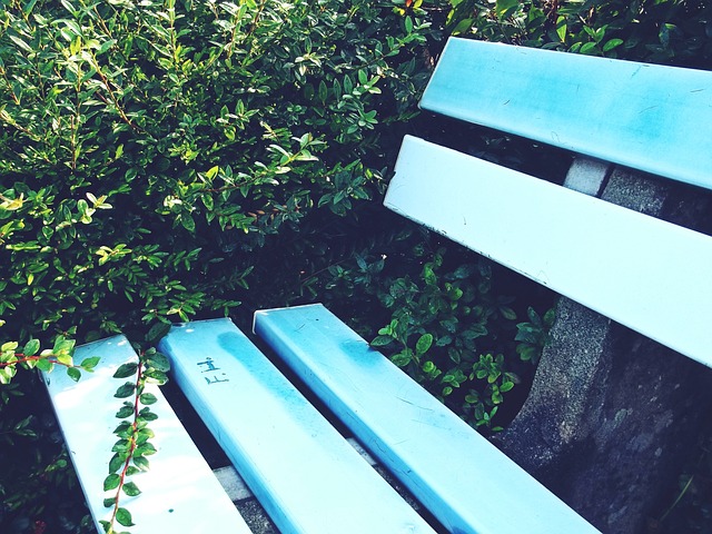 球队核心球 球队核心球