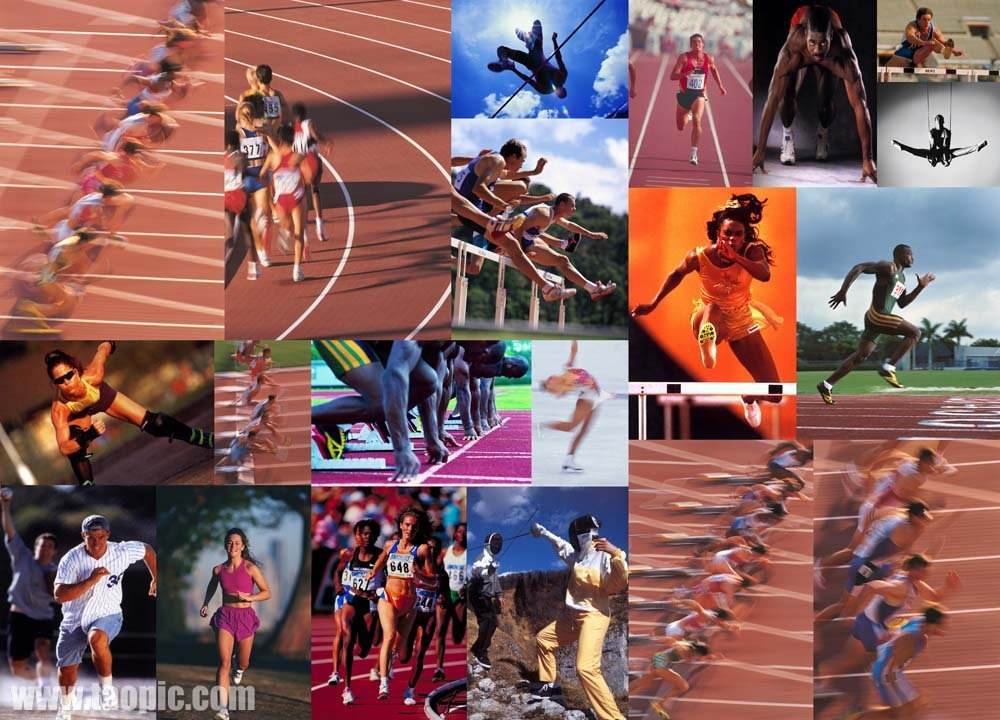 也确保球队 也确保球队